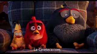 Angry Birds: la película Canción Águila Poderosa Español latino 2016