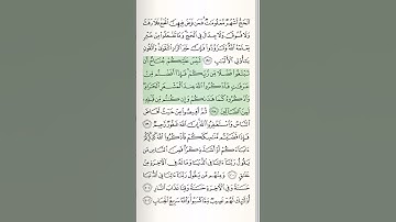 قرآن مجید | سوره بقره | آیات 198-199 | #قرآن | #بقره | #شلوارک | #اسلام
