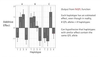 Tools for Polyploids Workshop: diaQTL (01 15 2021)