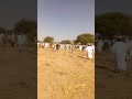 أحداث دارمساليت إعبادة جمعية من جديد و نزوح من جديد