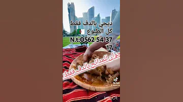 ديجي مدائح بالدف فقط و غناء مباشر كل الطبوع الجزائرية Douf 