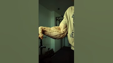 TOP 3 Forearm Exercises