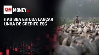 Agfeed Empresas Buscam Destravar Financiamento Climático Abertura De Mercado