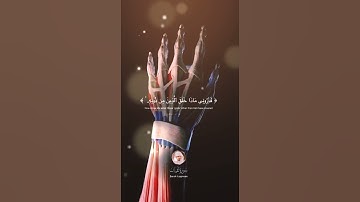 هذا خلق الله🌹 سورة لقمان 🌿 #القرآن_الكريم #quran #لايك #اذكار #اكسبلور #الحديث #تيك_توك #شورت #islam