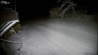 -6C and deer - Ring track 20230116 0459