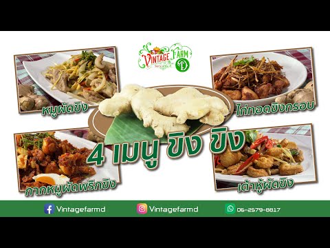 4 เมนูขิง ขิง