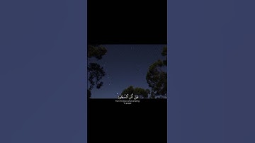مُحَمَّدٌ رَسُولُ اللَّهِ وَالَّذِينَ مَعَهُ أَشِدَّاءُ||تلاوة خاشعة بصوت الشيخ ياسر الدوسري 💗🌿