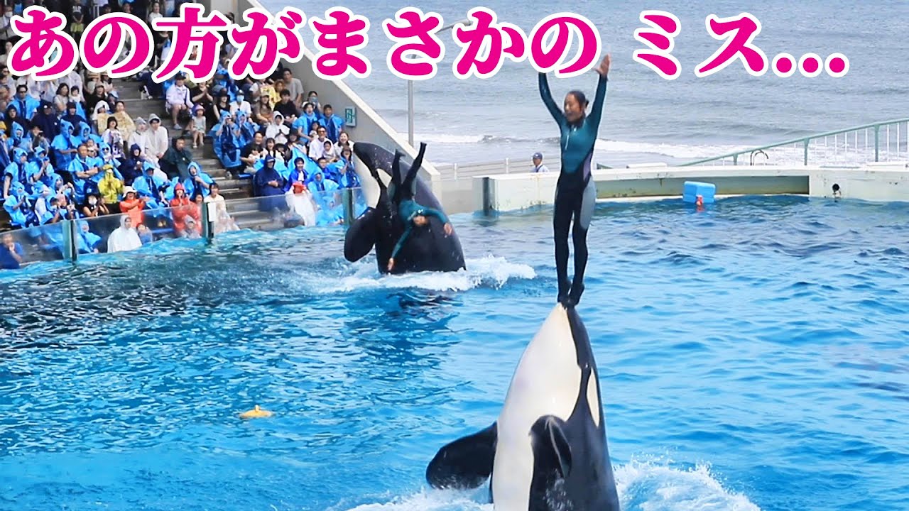 ハプニング】ダブルリフトでまさかの転落・・・ 鴨川シーワールド