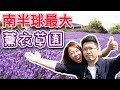 【Tasmania必去景點】 南半球最大薰衣草園 Bridestowe  Lavender Estate ＋宮崎峻靈感地？ Ross小鎮 （中文字幕）