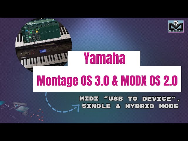 Xp Midi Mate Drivers For Windows