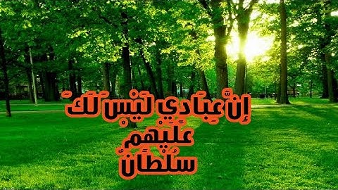 نَبِّئْ عِبَادِيٓ أَنّيِٓ أَنَا ٱلْغَفُورُ ٱلرَّحِيمُ.. سورة الحجر... القارئه أم أنس.