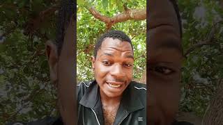 Igbo people will not be affected if Donald Trump come for Nigeria