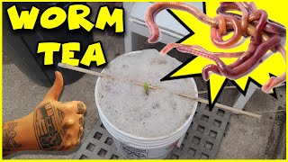 WORM CASTING or COMPOST TEA - ROCKET FUEL For Your Plants