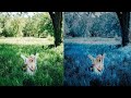Amazing Photoshop Tricks Malayalam Color Changing in Photoshop