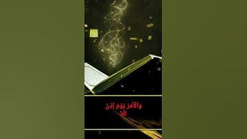 القارئ الشيخ/ جمال الحمادي