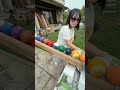 Marble Run☆Freedom and Genius Performers①