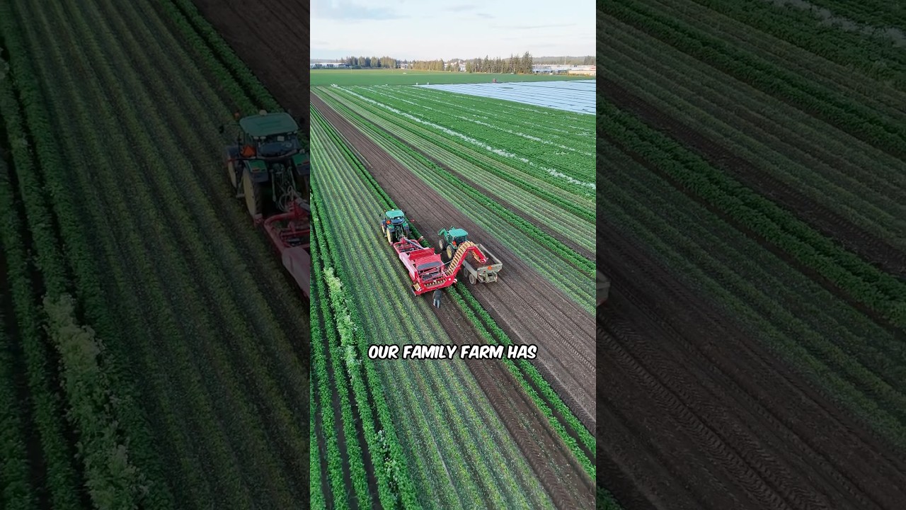 Our Farm is at Risk of Being Developed. #farming