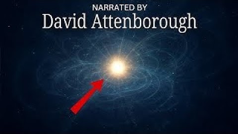 The Particle That Made Everything Explained — Narrated by David Attenborough