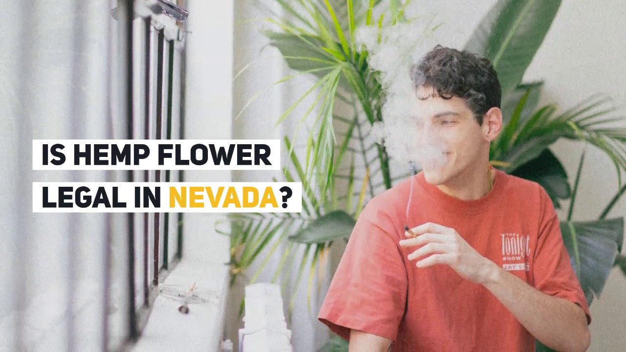 Buy Hemp Flower In Nevada- Best Hemp Strains and Prices