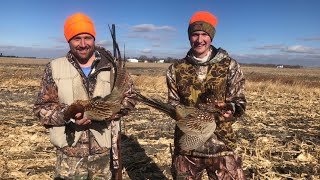 DIY South Dakota Pheasant Hunt 2020 No dogs. (Part 1)