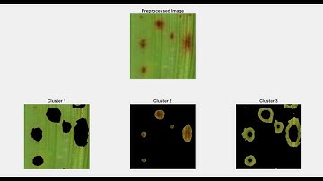 #finalyearprojects 2021 | Random Forest Classification For Paddy Plant Disease