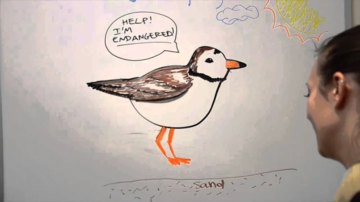 Endangered Birds