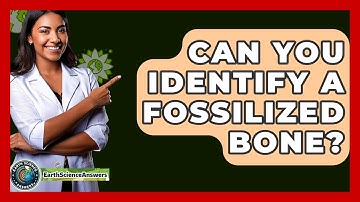 Can You Identify A Fossilized Bone? - Earth Science Answers