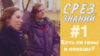 «Срез знаний» № 1: Есть ли гены в овощах?