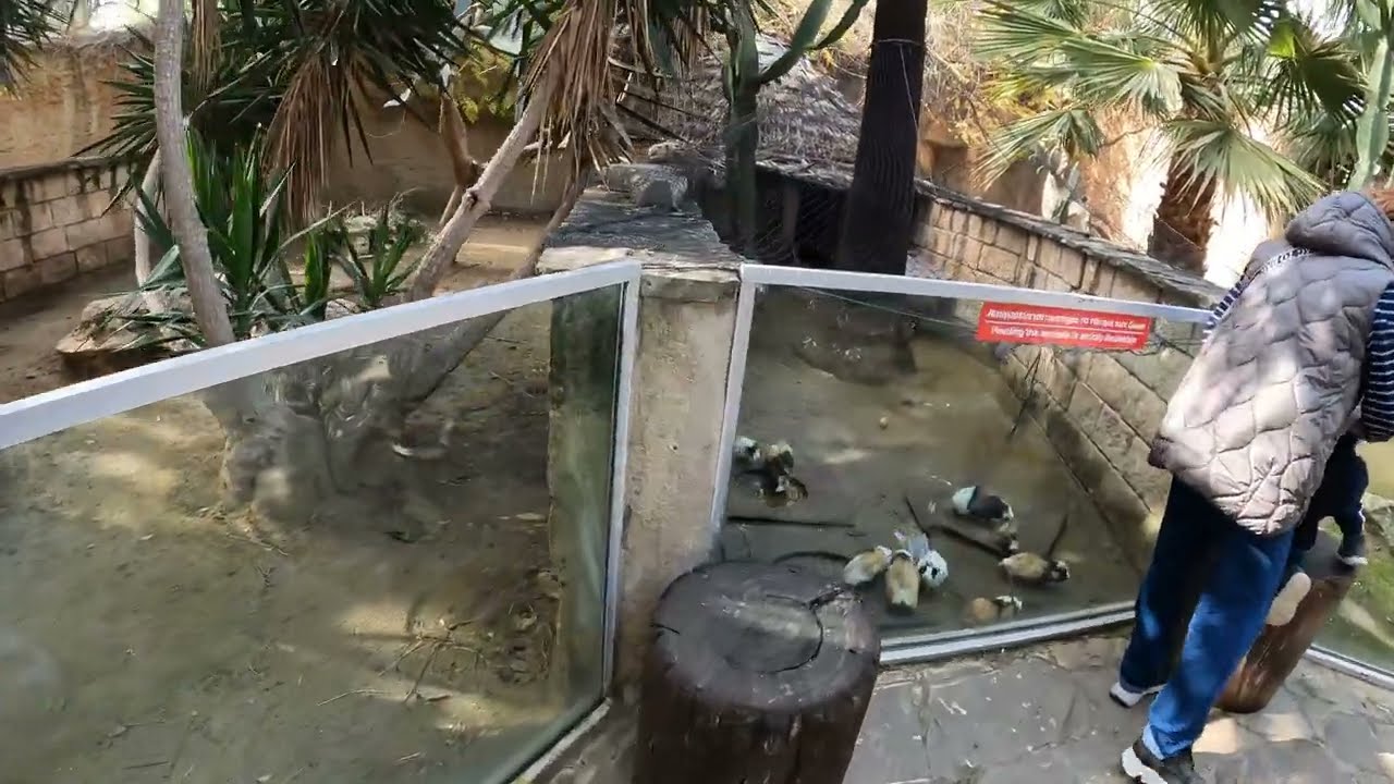 Oare cine este cel mai tare din acest Penitenciar 