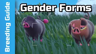 Forms: Gender Splits Guide | Pokemon Scarlet & Violet (8)