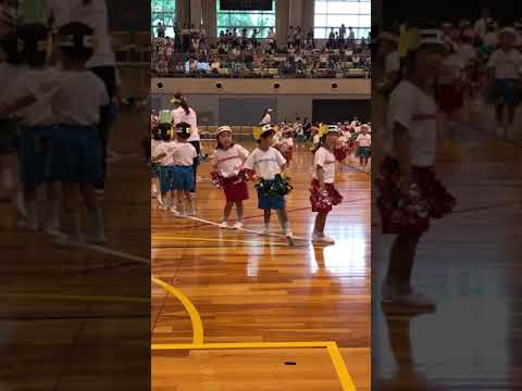 2018 09 15　崇佑運動会（幼稚園年少）