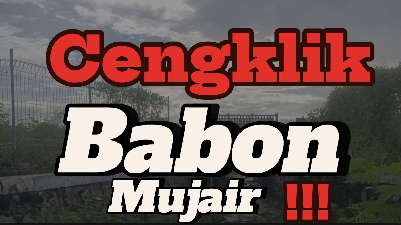 RUTE KALI SENTING WADUK CENGKLIK &HASILNYA ⁉️Mancing waduk cengklik terbaru