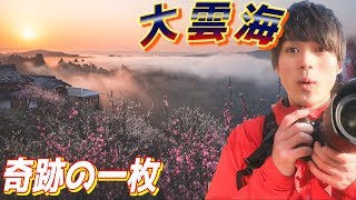 目の前に広がる大雲海が絶景すぎてシャッターを切る手が止まらない！！！