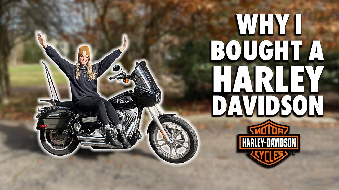 best harley to buy for the money