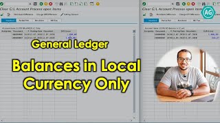 SAP General Ledger: Balances in Local Currency Only (Explanation and Demo on S4HANA)