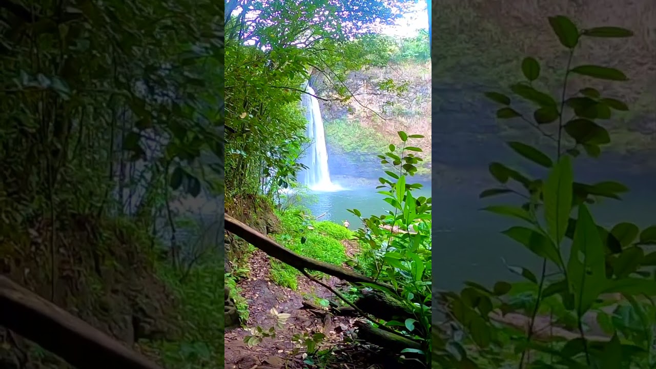 Wailua Falls KAUAI