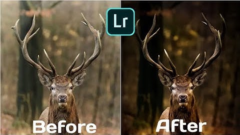 Create THIS DARK GREY Style using ONLY LIGHTROOM! how to edit photos and videos in lightroom