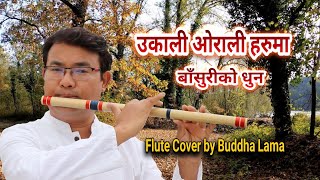 Ukali Orali Haruma ।। Flute Cover by Buddha Lama ।। Tara Devi ।। Natikaji ।। Chandani Shah