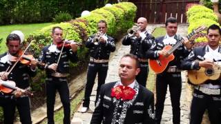 Video thumbnail of "MI VIEJO/MARIACHI VOCES DE AMERICA MEDELLIN (COVER) VICENTE FERNANDEZ"