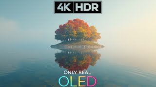Breathtaking HDR Display Test | Dolby Vision | 120FPS (Oled Demo)