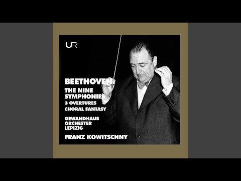 Sleduj Symphony No. 5 in C Minor, Op. 67: II. Andante con moto na YouTube