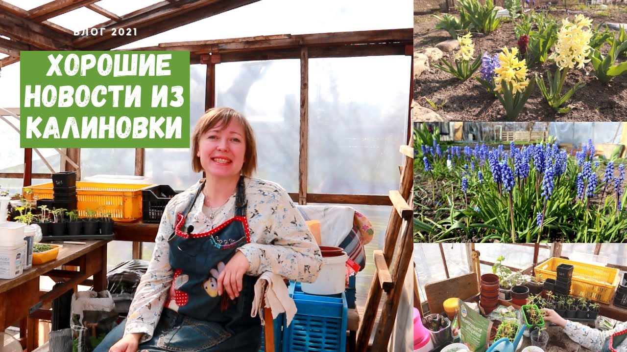 Только хорошие новости из Калиновки! Влог 2021