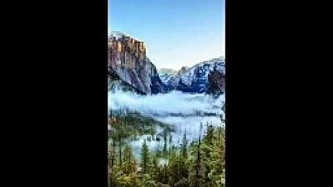 ما تيسر من سورة المجادلة والحشر (الشيخ بركات سيد البخاري)