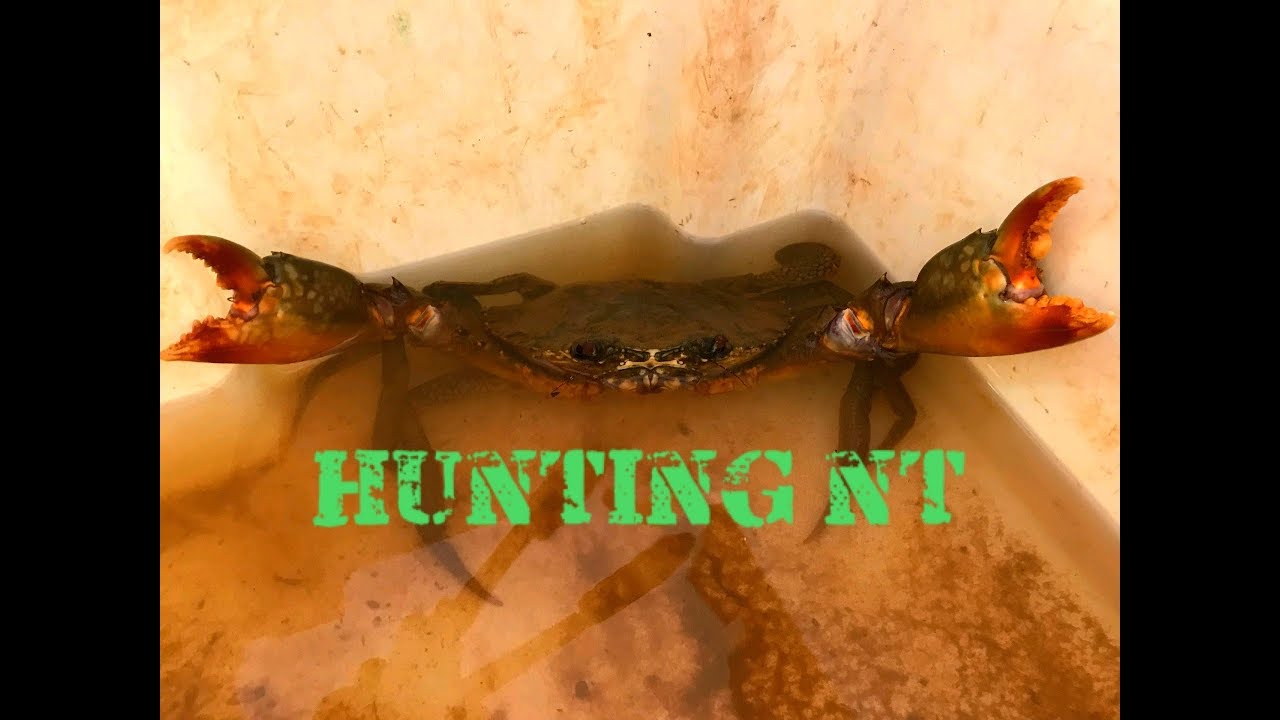 MUD CRABBING AND FISHING ADVENTURE NORTHERN TERRITORY LAND BASED YouTube