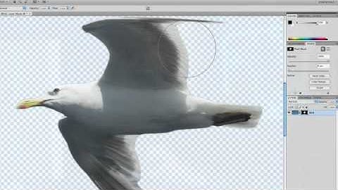 Photoshop for Video: Masks Panel