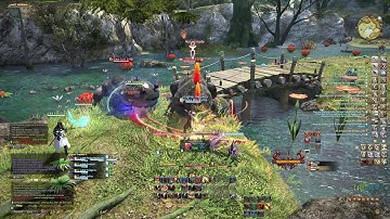 FF14 -  Brayflox Longstop Command Mission [Warrior PoV]