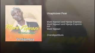 Mark Ngwazi - usapinzwe fear [ Audio]