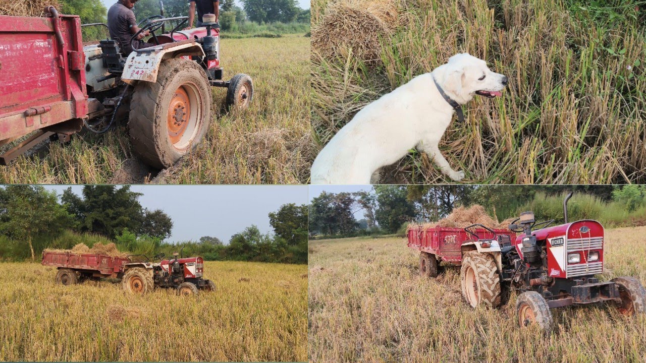 Tractor stuck in mud with trolley 🚜