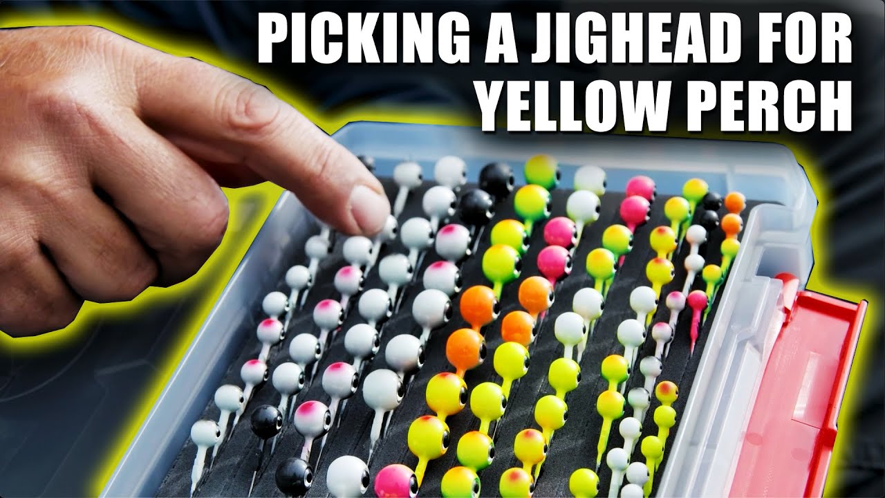 ВЫБОР ДЖИГГОДЫ ДЛЯ УСПЕШНОЙ ЛОВЛИ ЖЕЛТОГО ОКУНЯ