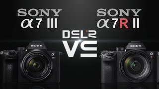 Sony alpha a7 III vs Sony alpha a7R II